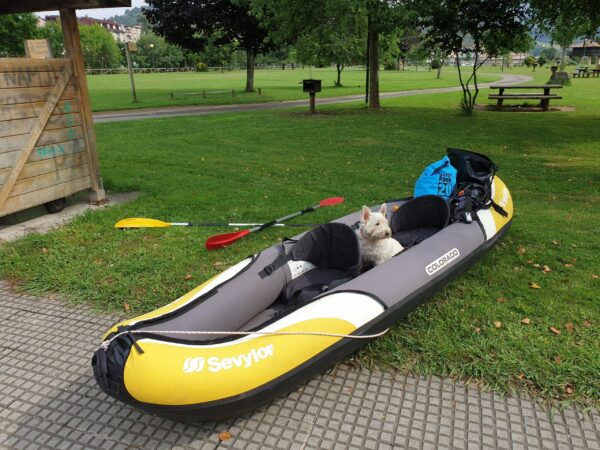 navegar con perro en piragua